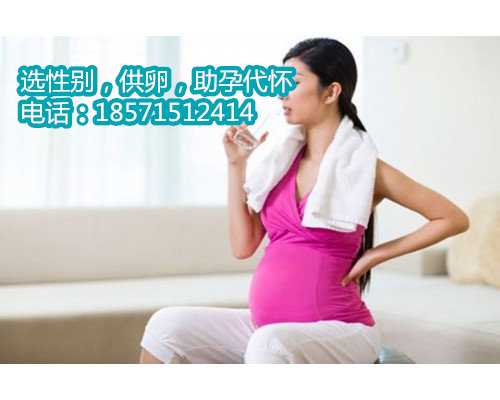 青岛助孕公司借腹生子,孕晚期孕妇能吃鹿茸吗